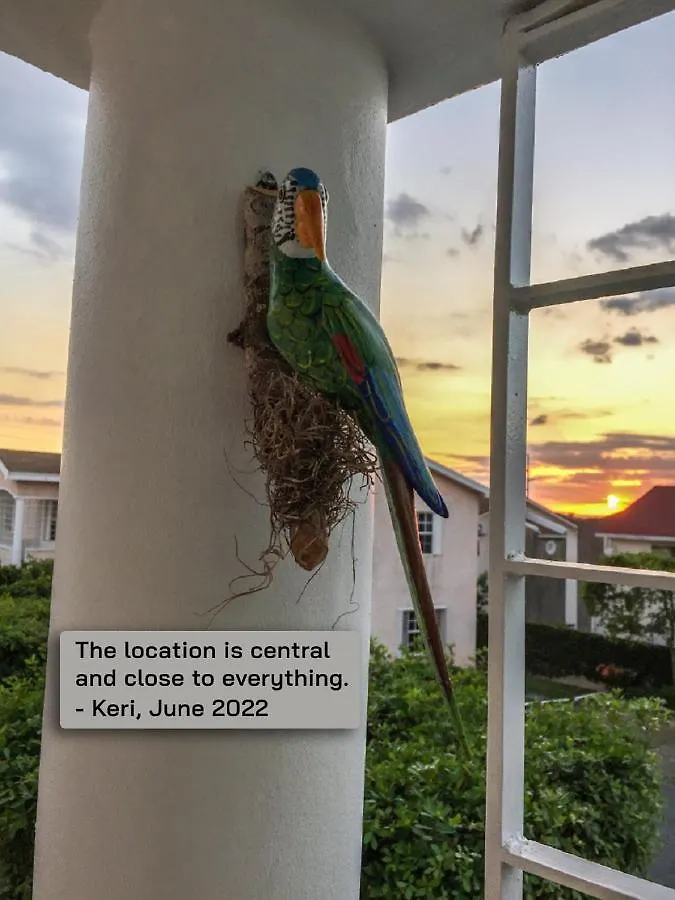 Apartmán Book A Cozy Getaway: Near Bob Marley Museum Kingston